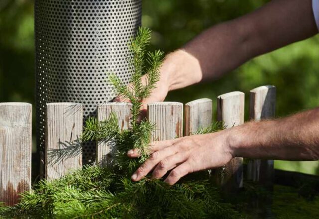 Jak stworzyć drewniany płotek w ogrodzie – inspirujący projekt do wykonania